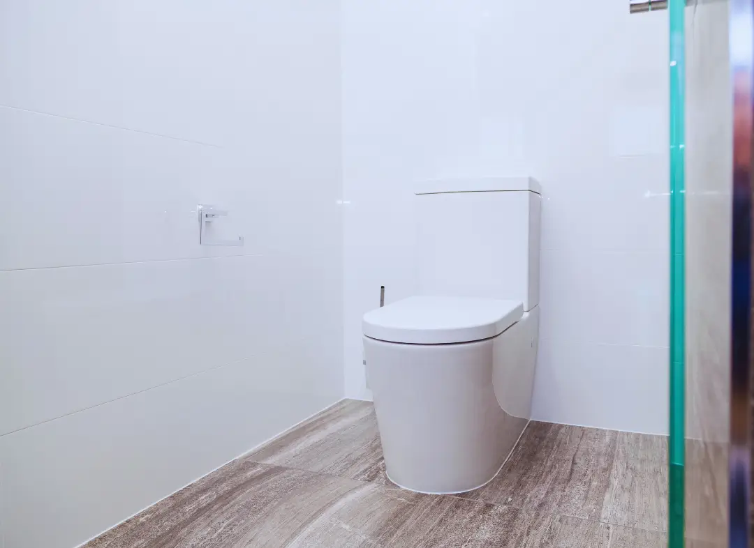 Remplacement de wc Valleiry